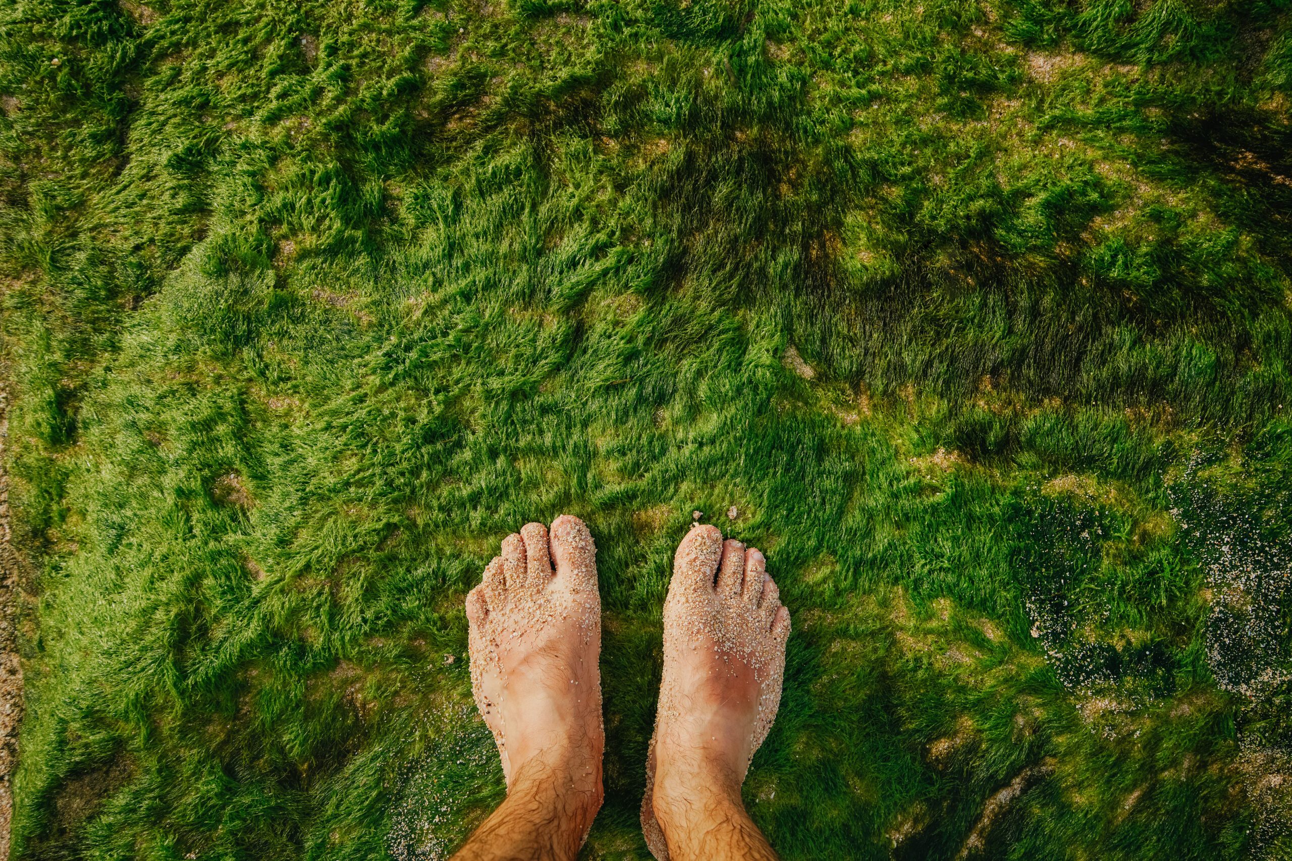 1.アーシング効果とは？