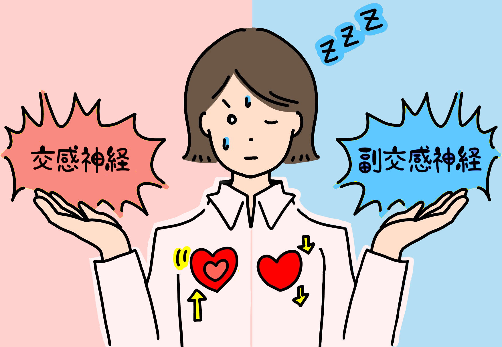 ②自律神経がととのう